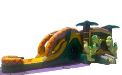 Dinosaur Bounce House with Slide wet only