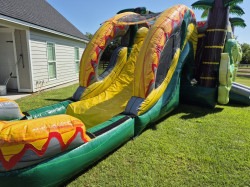 dino20combo202 1756228065 Dinosaur Bounce House with Slide wet only
