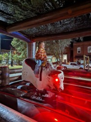 Bull and Girl 1711356661 Mechanical Bull