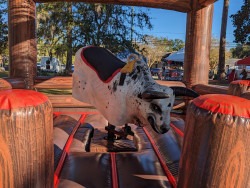 PXL 20231021 131904852201 1711356660 Mechanical Bull